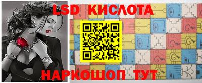 сатива Ярославль