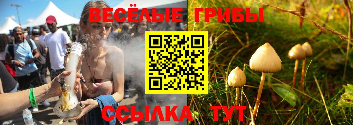 Псилоцибиновые грибы прущие грибы Лениногорск