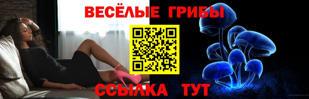 Лениногорск  Псилоцибиновые грибы Magic Shrooms  Вход с VPN 
